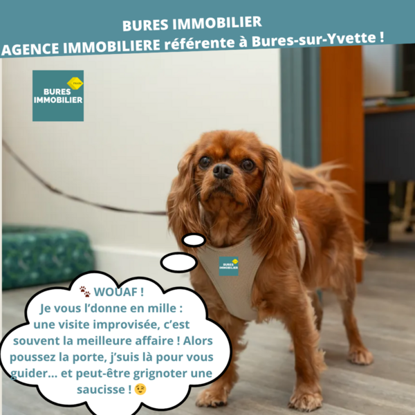 🎙️ Histoire vraie racontée par Sally 🐾