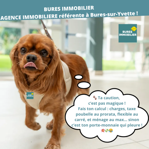 🎙️ Sally agent immobilier à l’écoute 🐾