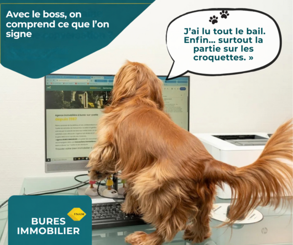 Du dossier au bail signé