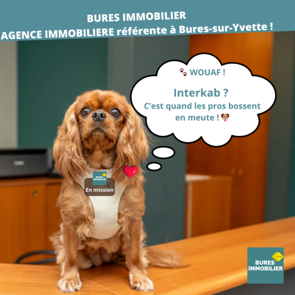 Plus d'agents plus de chances