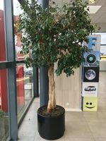 17. Creaflor Paysages